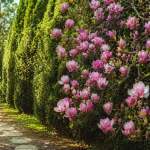 Ustawienia Systemowe / 23-24 maja